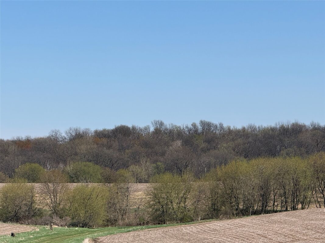 Land at 00 County Road CC, Pepin, WI 54759 — photo 3