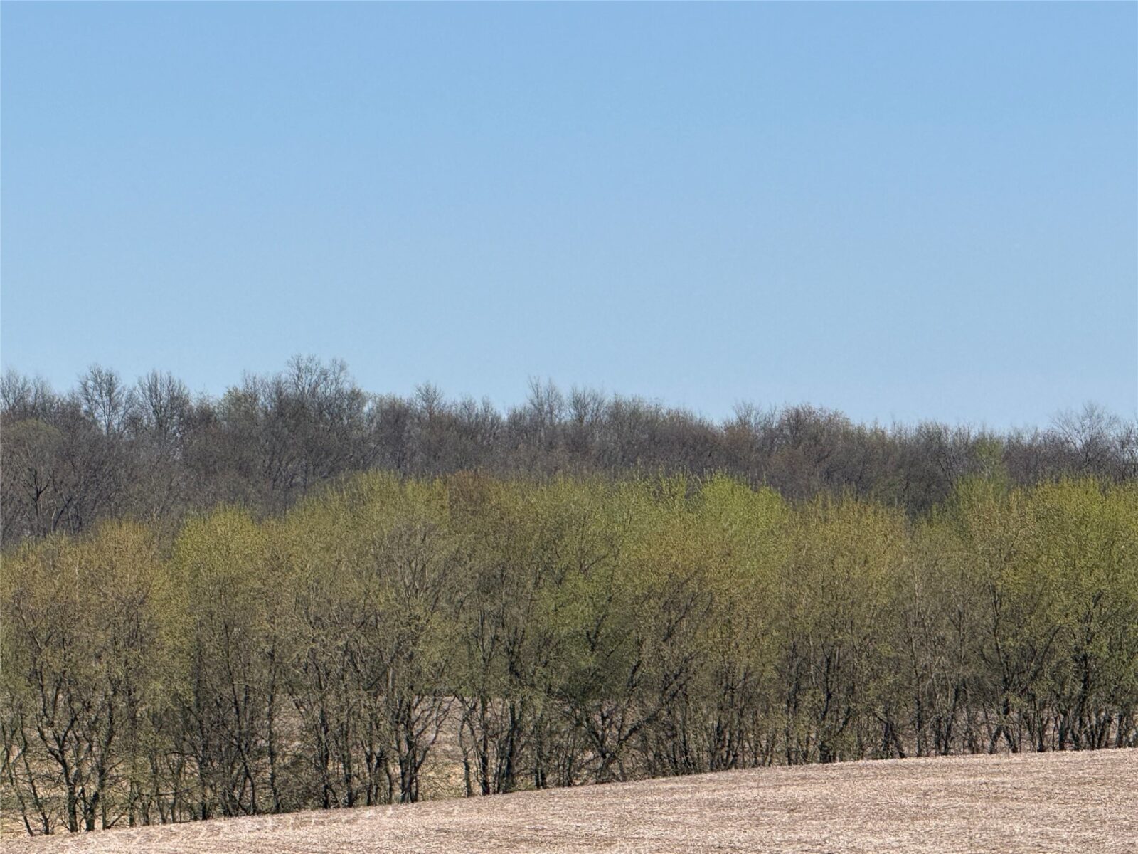 Land at 00 County Road CC, Pepin, WI 54759 — photo 4