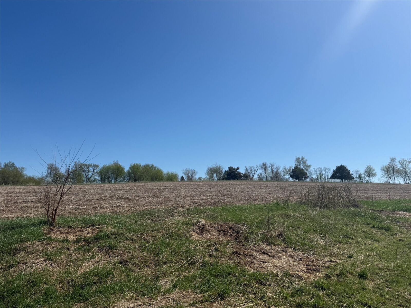 Land at 00 County Road CC, Pepin, WI 54759 — photo 5