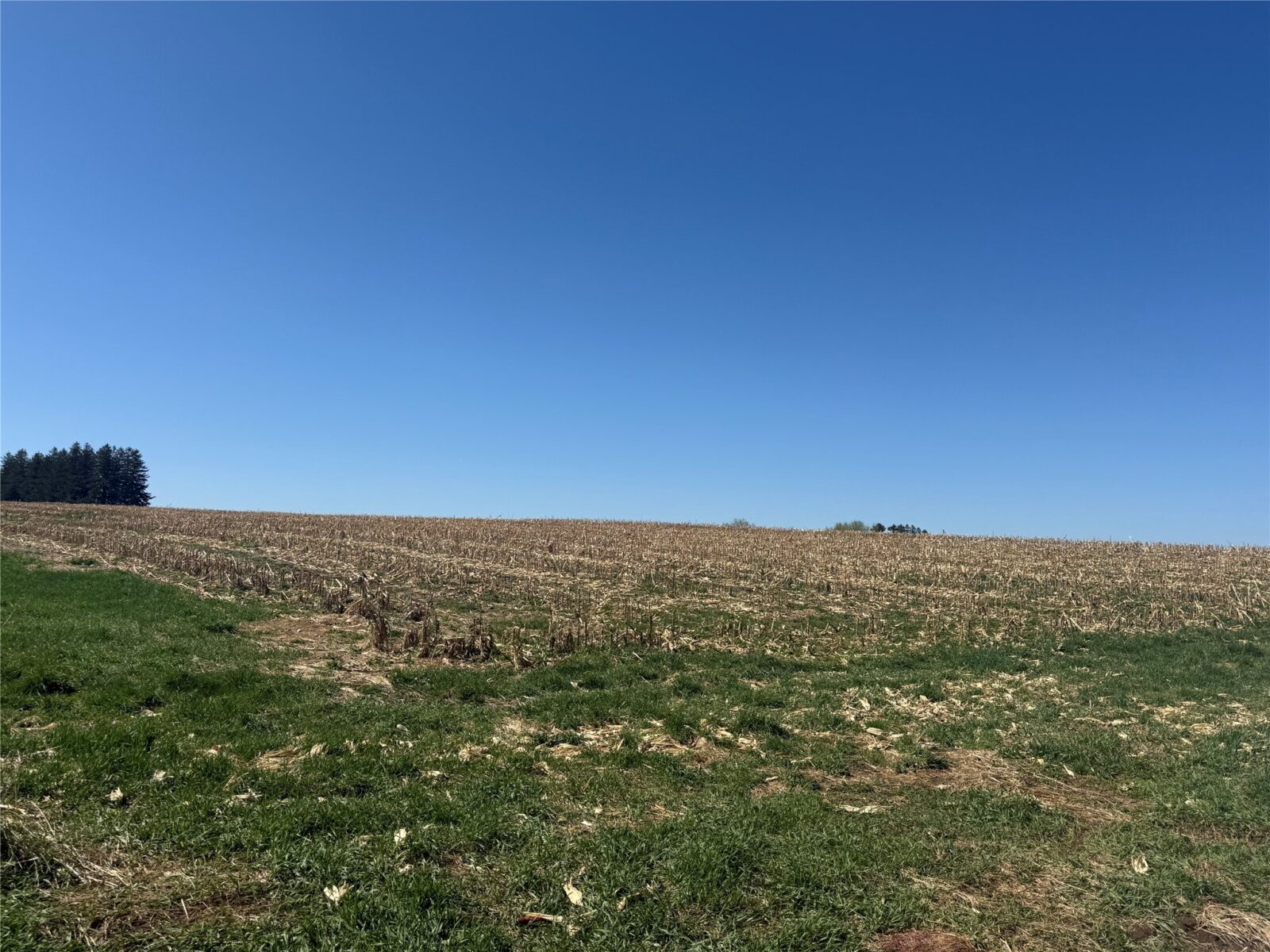 Land at 00 County Road CC, Pepin, WI 54759 — photo 6