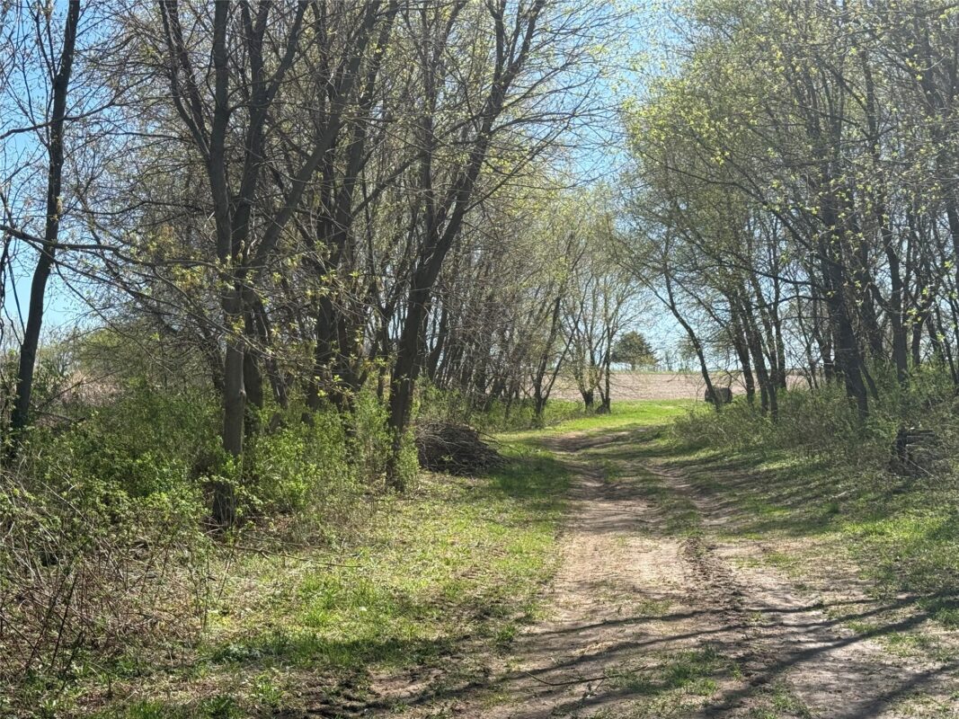 Land at 00 County Road CC, Pepin, WI 54759 — photo 7