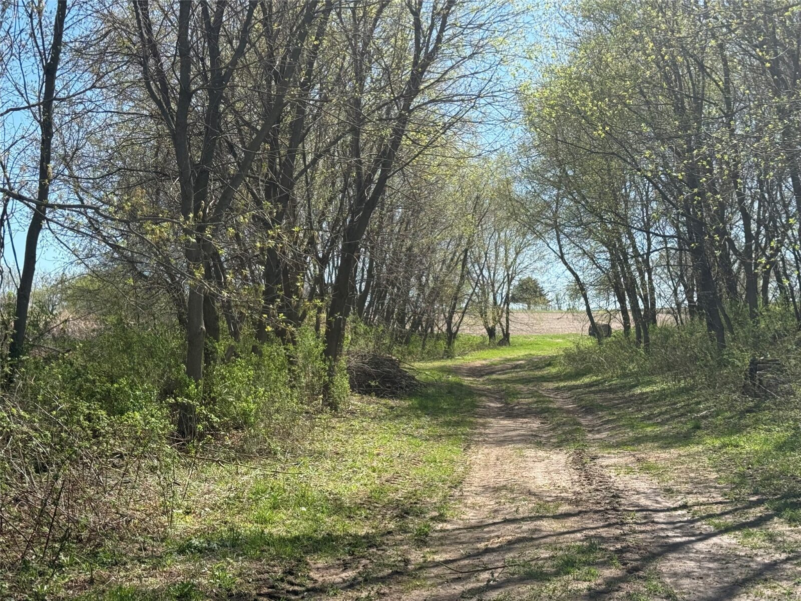 Land at 00 County Road CC, Pepin, WI 54759 — photo 7