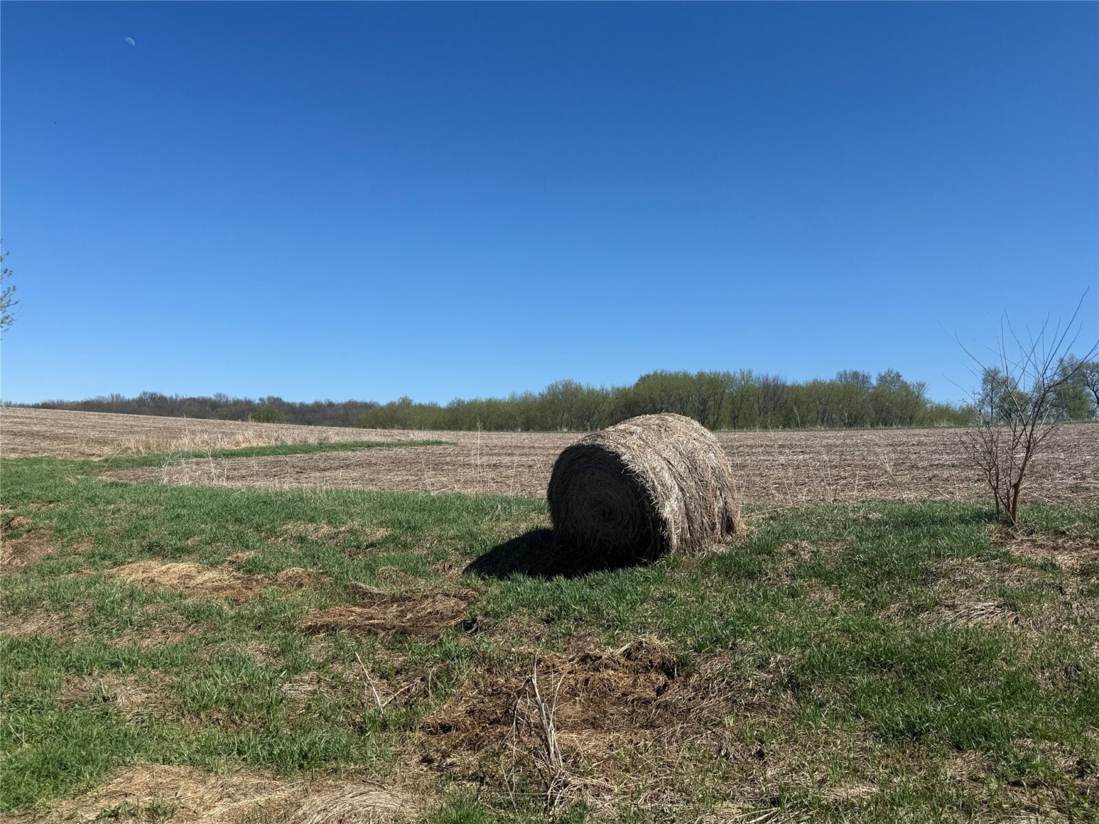 Land at 00 County Road CC, Pepin, WI 54759 — photo 8