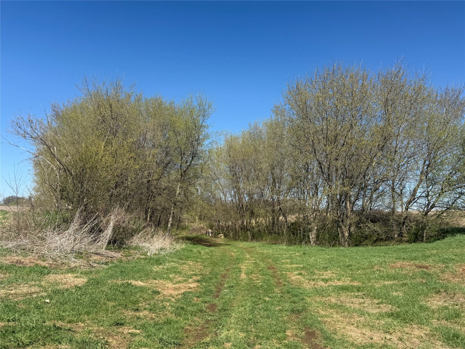 Land at 00 County Road CC, Pepin, WI 54759 — photo 9