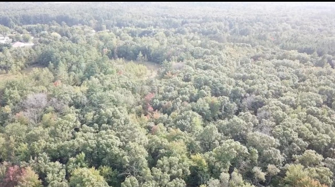 Land at 00 Sand Road, Merrillan, WI 54754 — photo 6