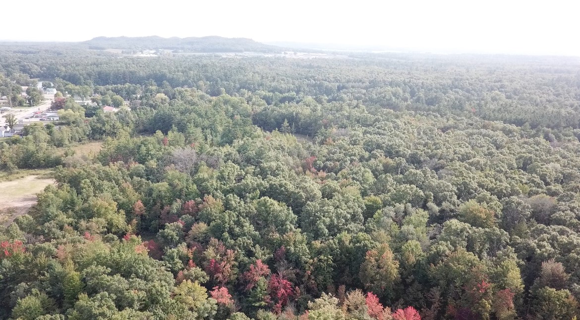 Land at 00 Sand Road, Merrillan, WI 54754 — photo 7