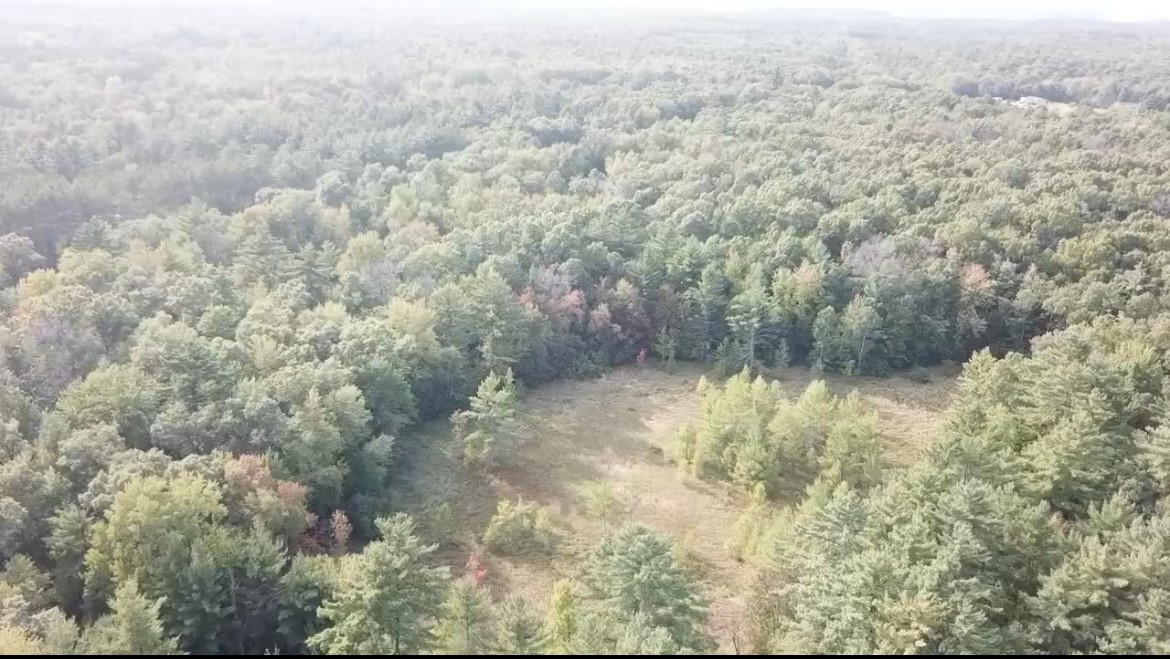 Land at 00 Sand Road, Merrillan, WI 54754 — photo 8