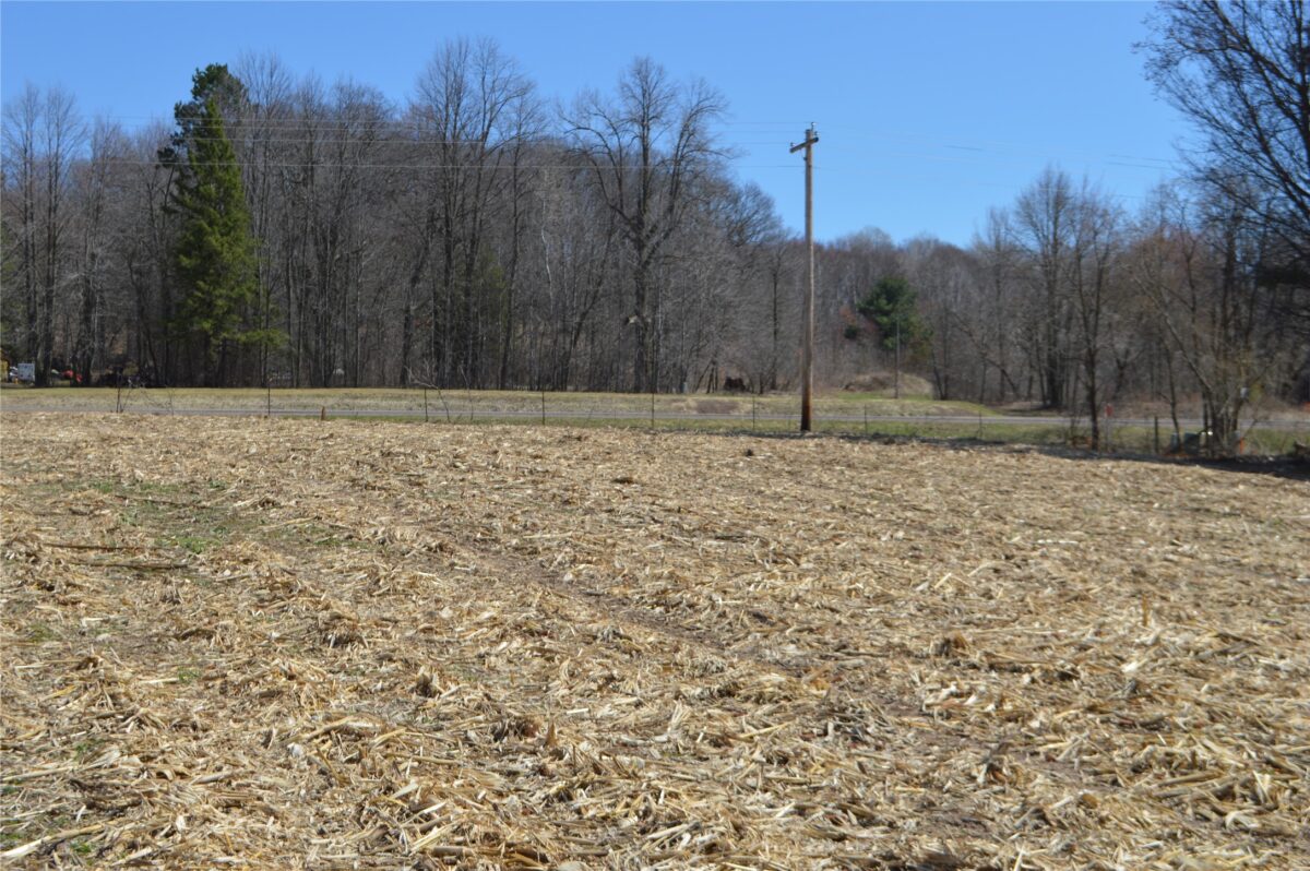 Land at 00 Highway SS, Cameron, WI 54822 — photo 10