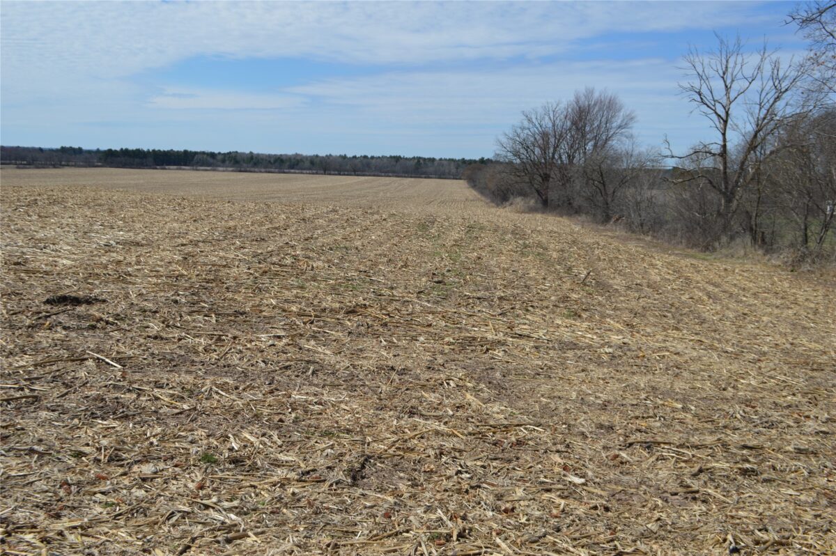 Land at 00 Highway SS, Cameron, WI 54822 — photo 12