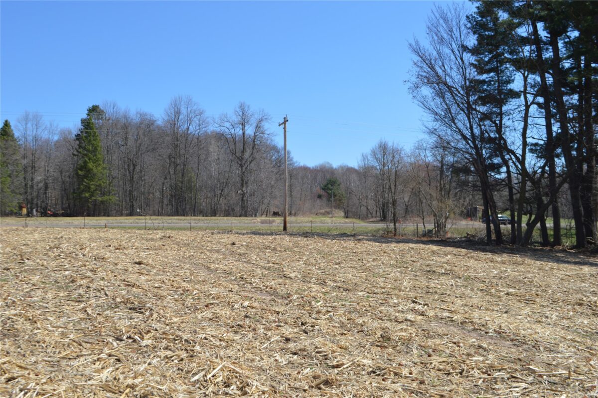 Land at 00 Highway SS, Cameron, WI 54822 — photo 7