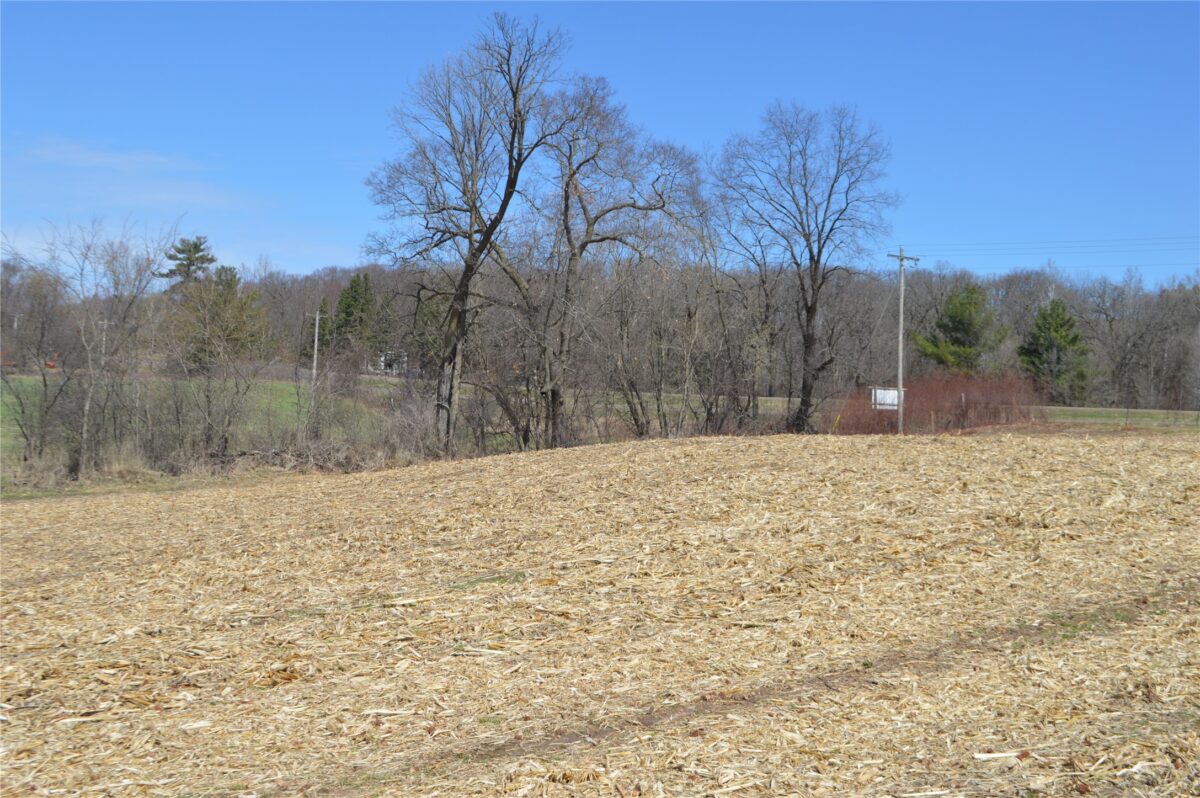 Land at 00 Highway SS, Cameron, WI 54822 — photo 8