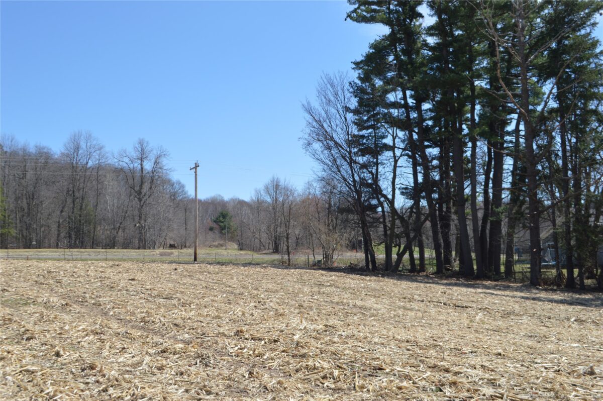 Land at 00 Highway SS, Cameron, WI 54822 — photo 9