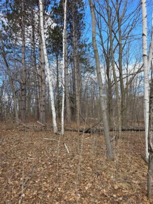 00 Highway W Weyerhaeuser WI 54895 — photo 1