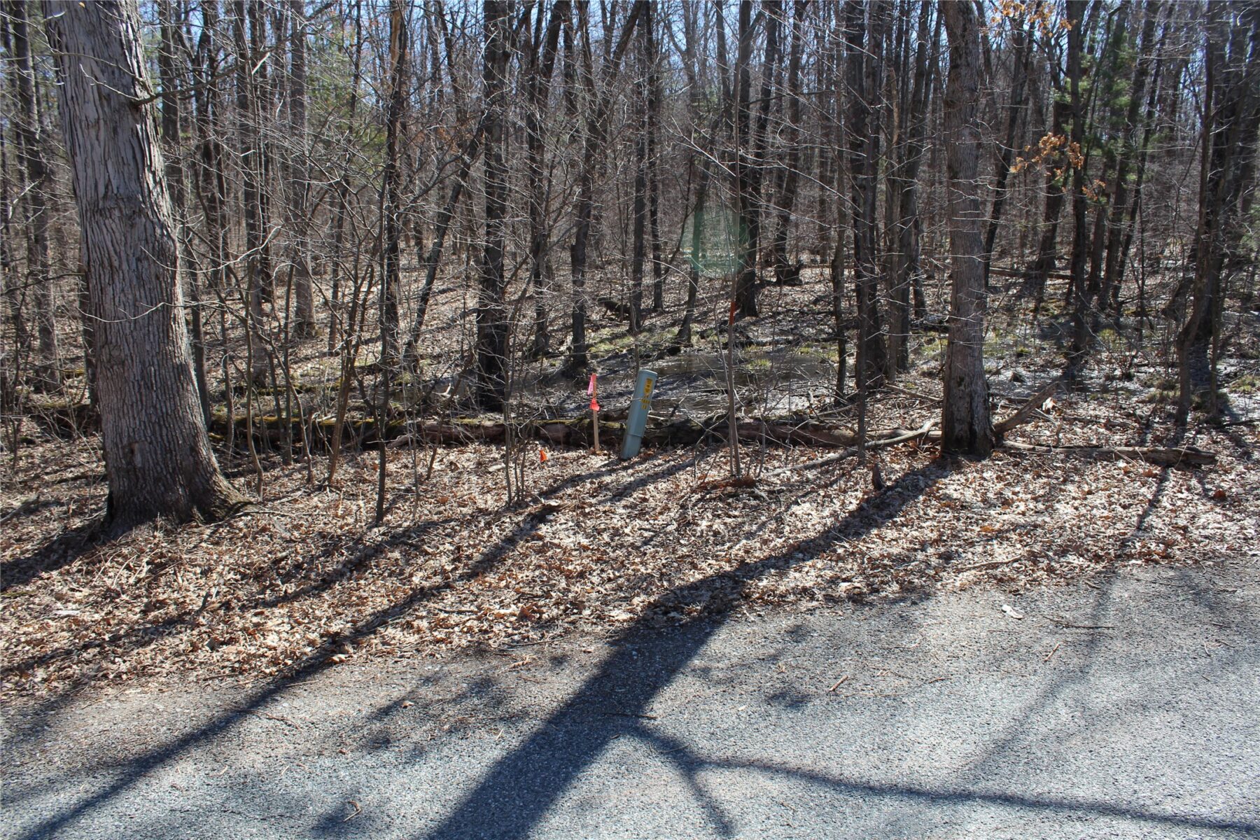 00 Resewood Ave. Lot – 3 Neillsville WI 54456 — photo 10