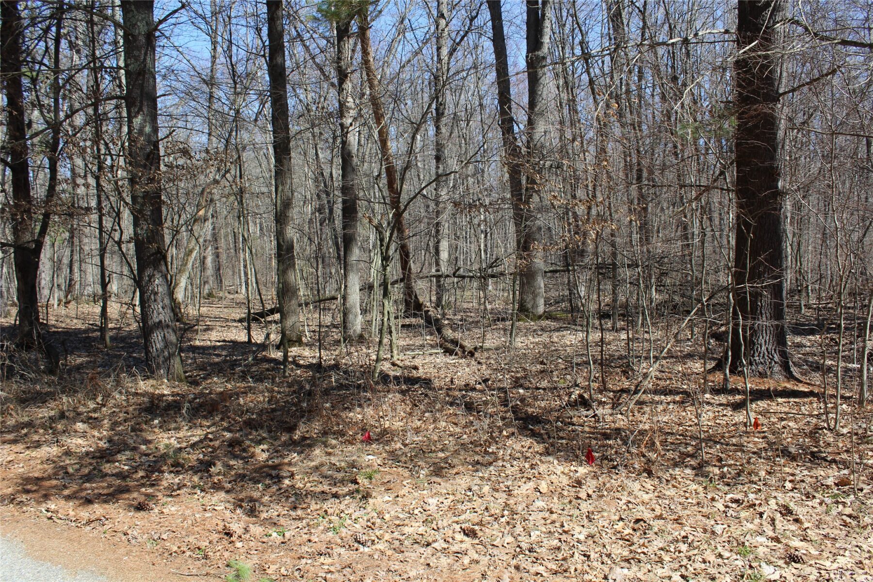 00 Resewood Ave. Lot – 3 Neillsville WI 54456 — photo 13