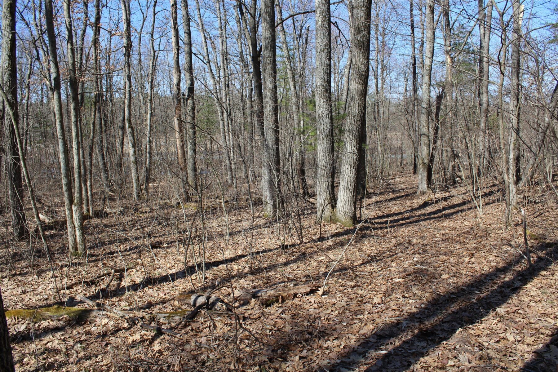 00 Resewood Ave. Lot – 3 Neillsville WI 54456 — photo 3