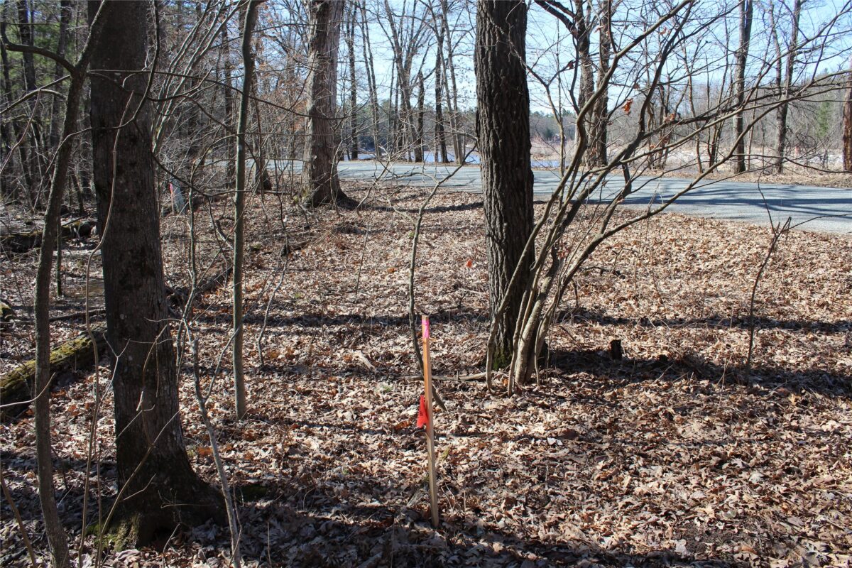 00 Resewood Ave. Lot – 3 Neillsville WI 54456 — photo 4
