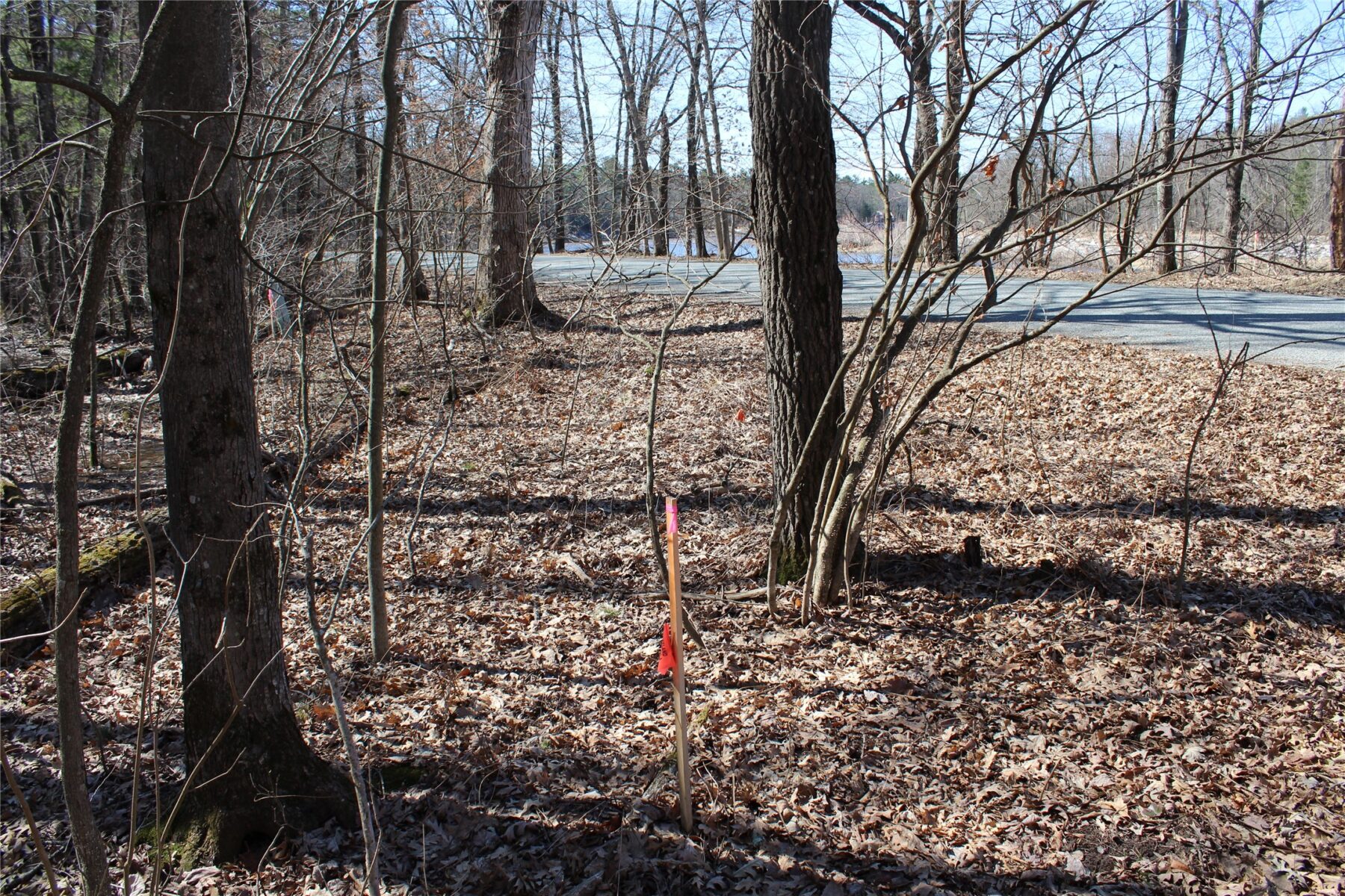 00 Resewood Ave. Lot – 3 Neillsville WI 54456 — photo 4