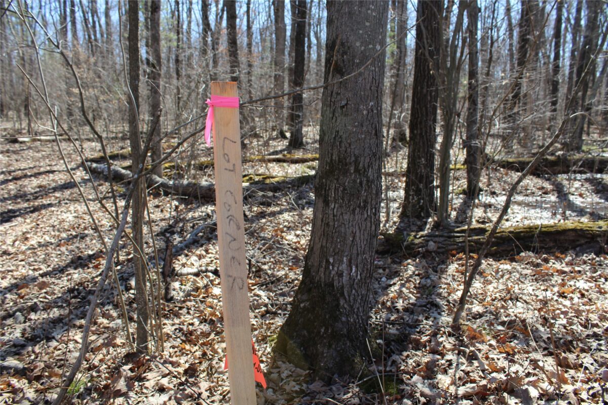 00 Resewood Ave. Lot – 3 Neillsville WI 54456 — photo 5