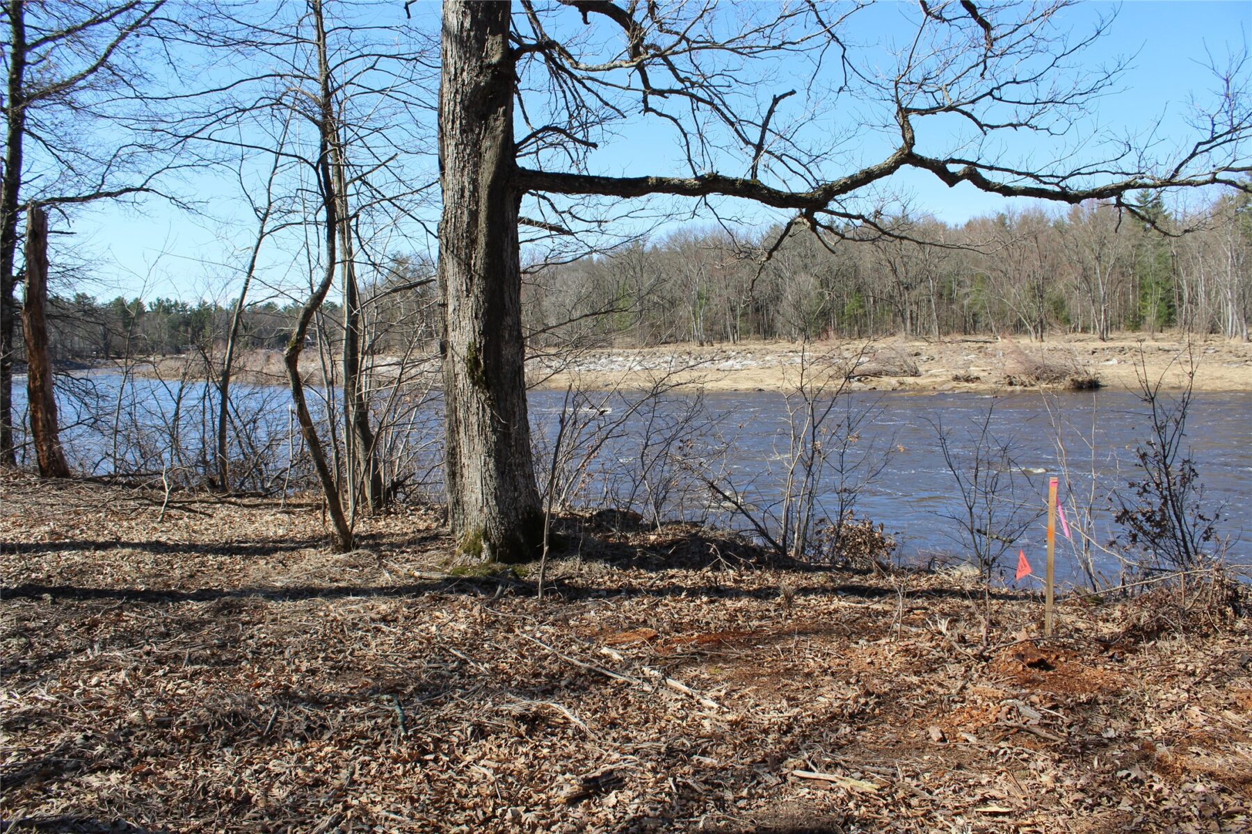 00 Resewood Ave. Lot – 3 Neillsville WI 54456 — photo 6