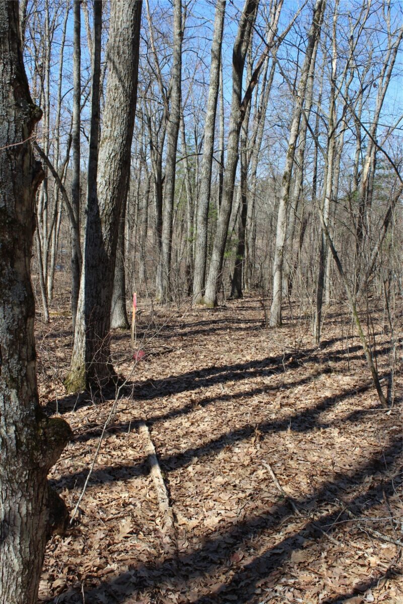 00 Resewood Ave. Lot – 3 Neillsville WI 54456 — photo 8