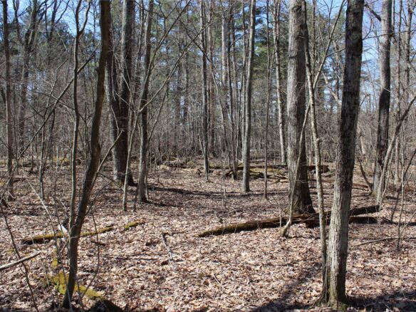 00 Resewood Ave. – Lot 4 Neillsville WI 54456 — photo 1