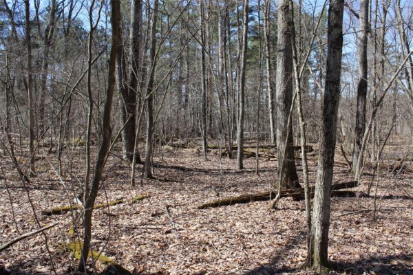 00 Resewood Ave. – Lot 4 Neillsville WI 54456 — photo 1