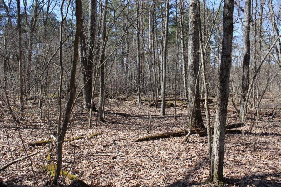 00 Resewood Ave. - Lot 4