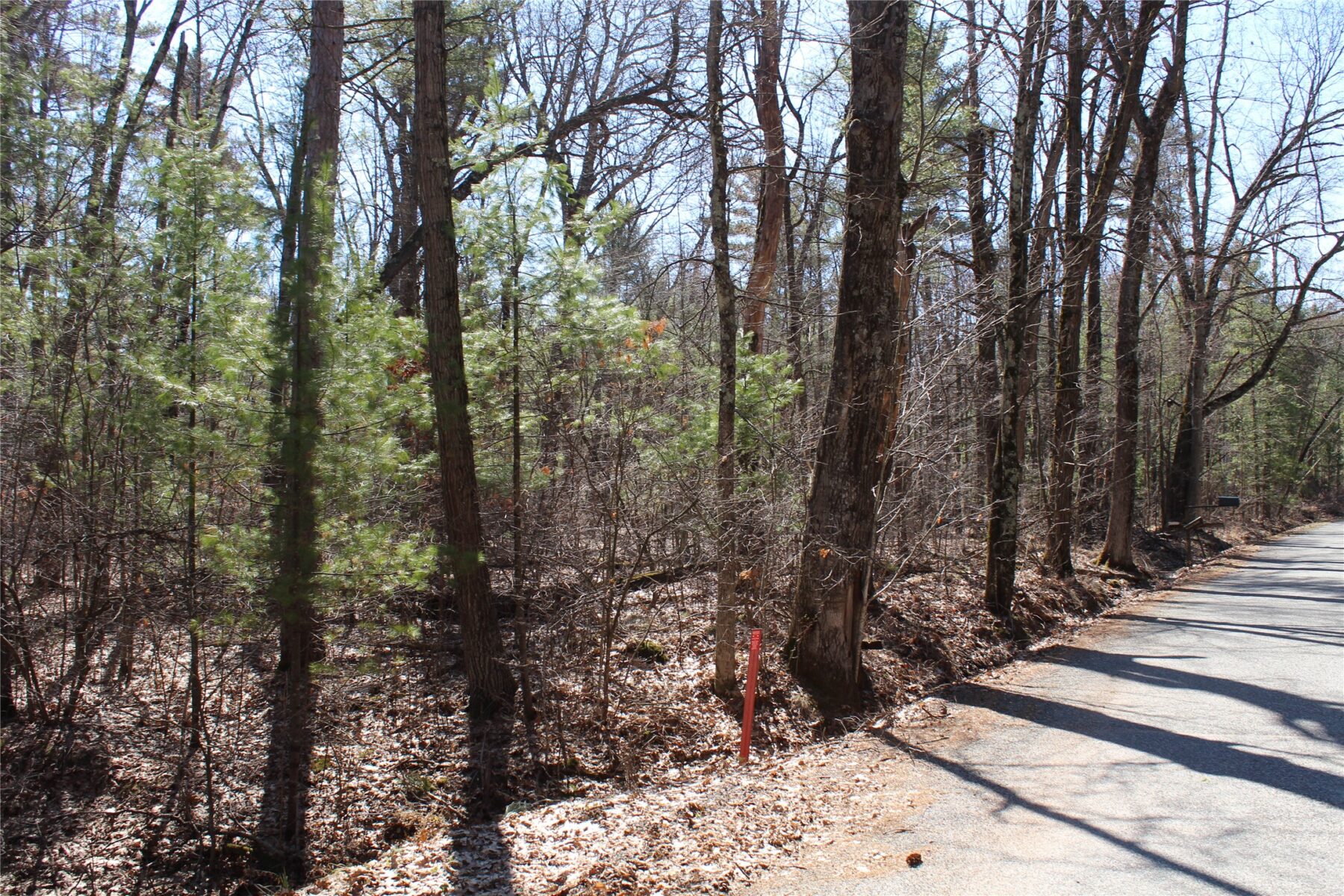 00 Resewood Ave. – Lot 4 Neillsville WI 54456 — photo 10