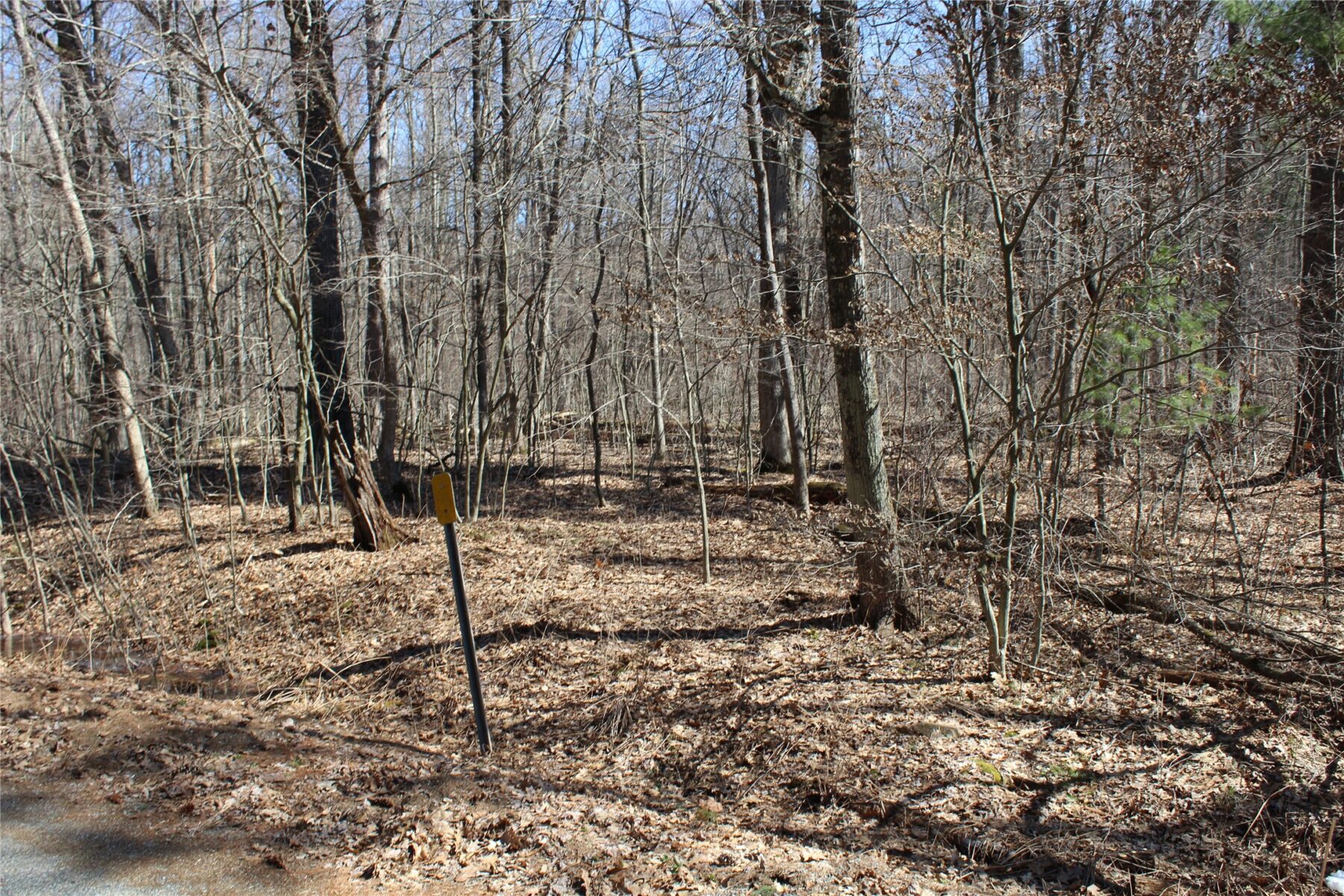 00 Resewood Ave. – Lot 4 Neillsville WI 54456 — photo 12