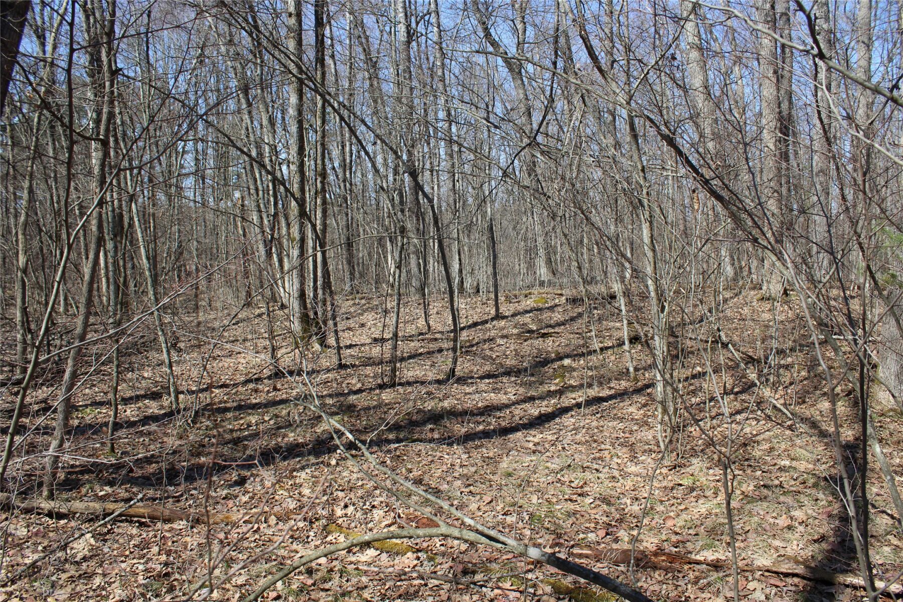 00 Resewood Ave. – Lot 4 Neillsville WI 54456 — photo 15