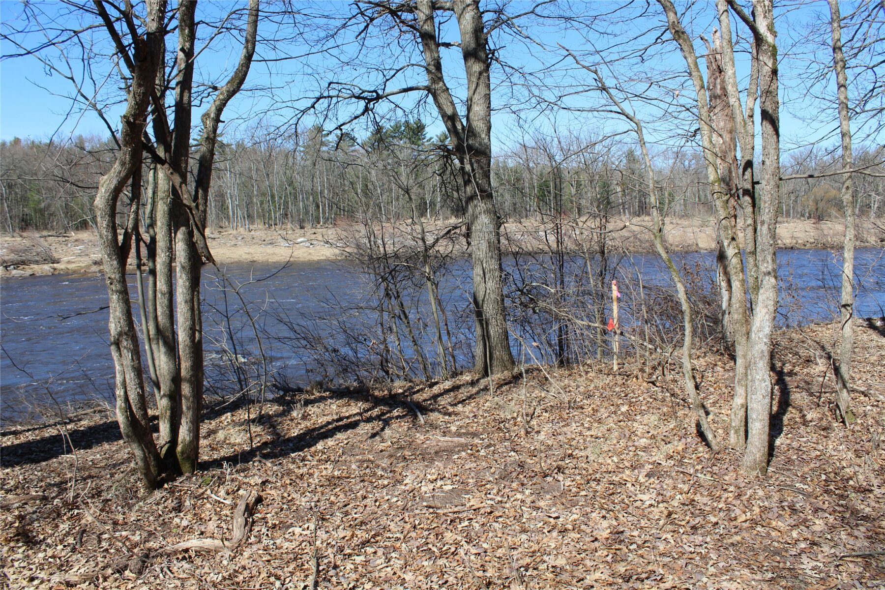 00 Resewood Ave. – Lot 4 Neillsville WI 54456 — photo 2