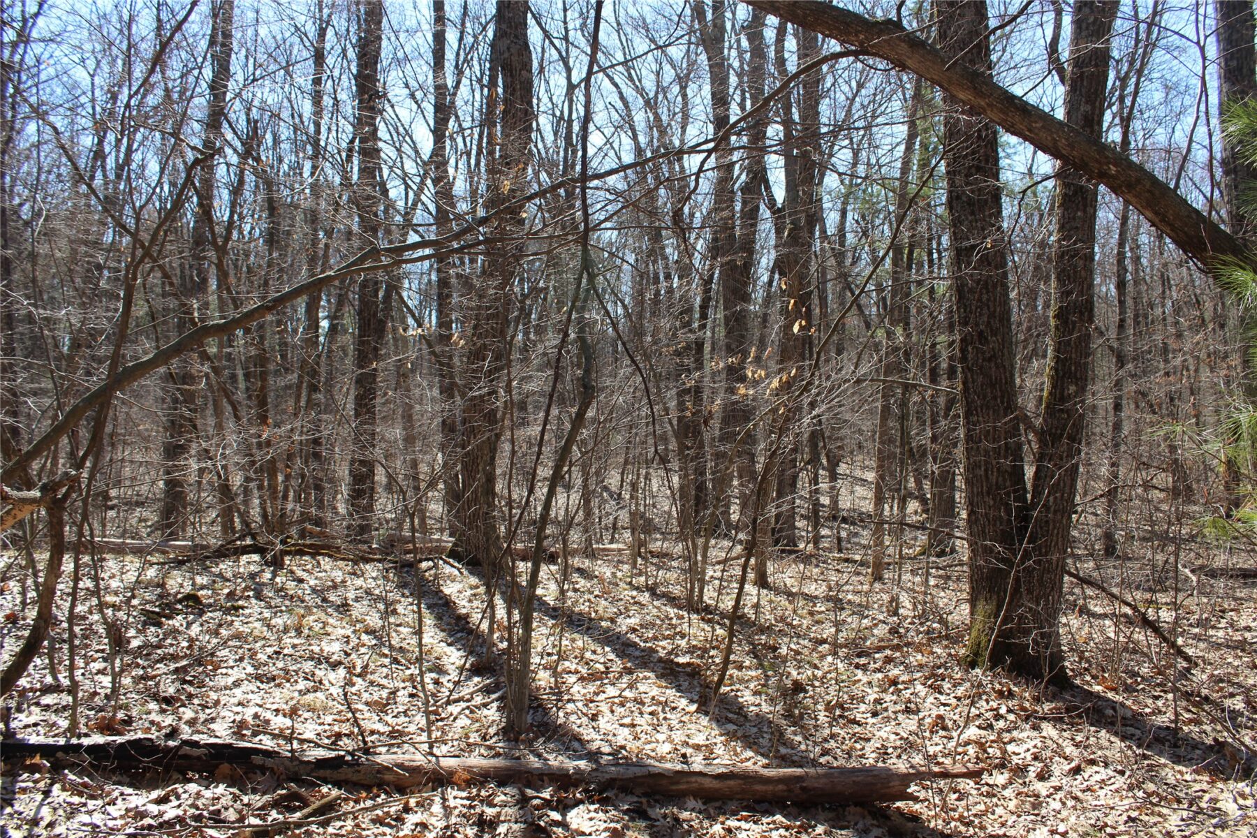 00 Resewood Ave. – Lot 4 Neillsville WI 54456 — photo 3