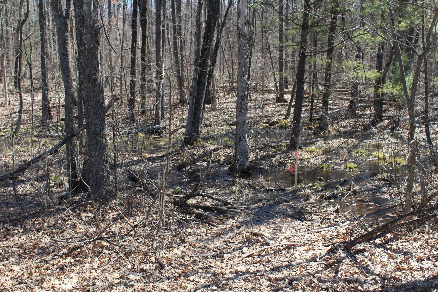 00 Resewood Ave. – Lot 4 Neillsville WI 54456 — photo 5