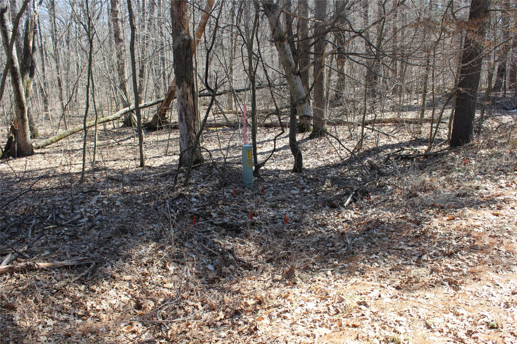 00 Resewood Ave. – Lot 4 Neillsville WI 54456 — photo 7