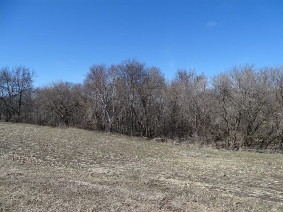 000 160th Avenue Maiden Rock WI 54750 — photo 1