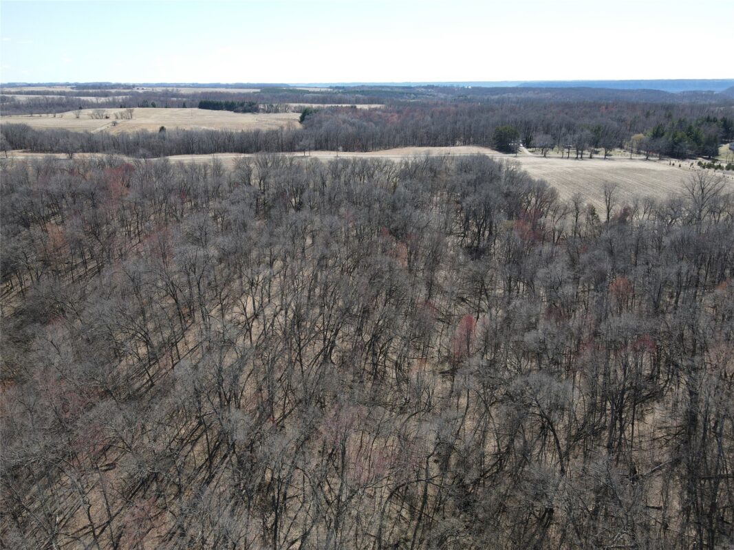 000 160th Avenue Maiden Rock WI 54750 — photo 10
