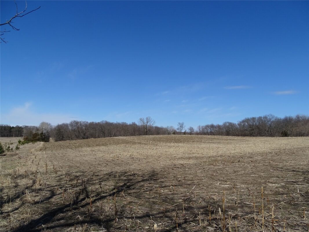 000 160th Avenue Maiden Rock WI 54750 — photo 2
