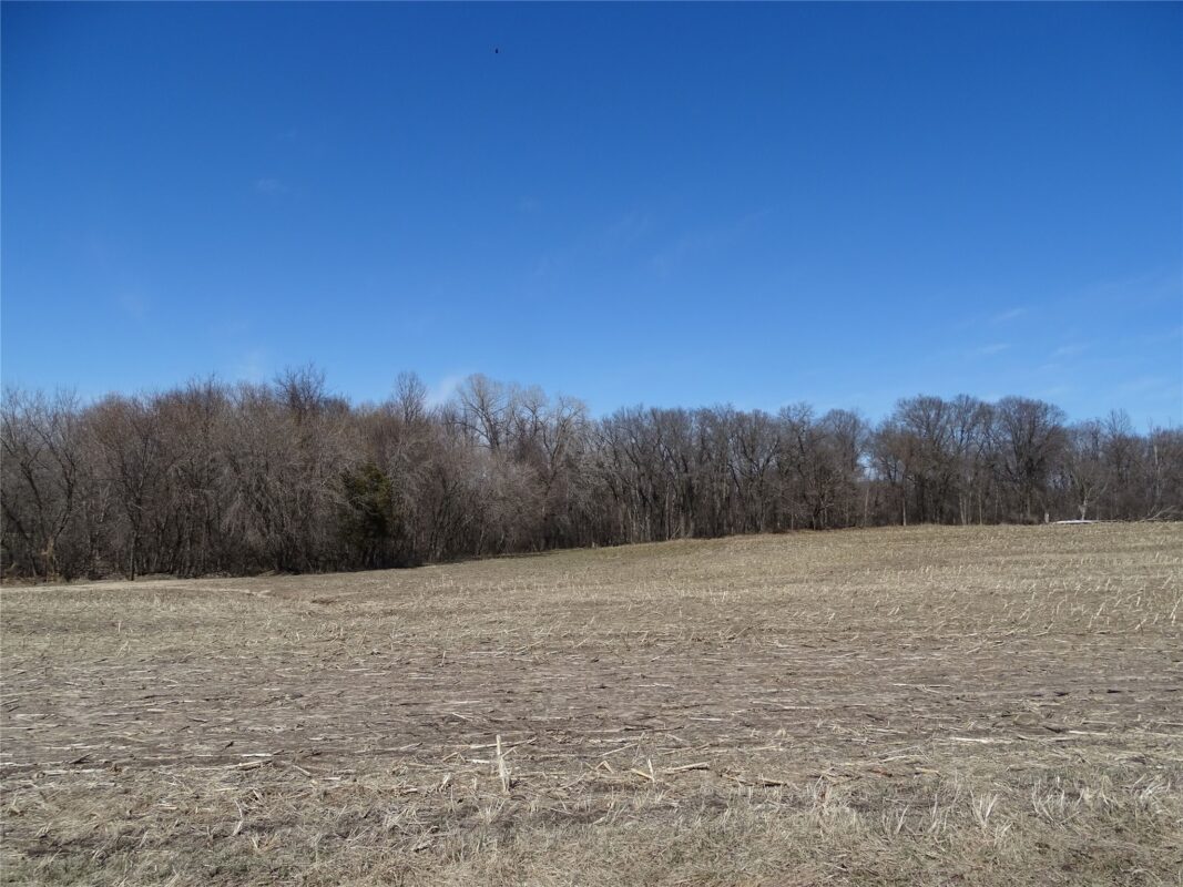 000 160th Avenue Maiden Rock WI 54750 — photo 2