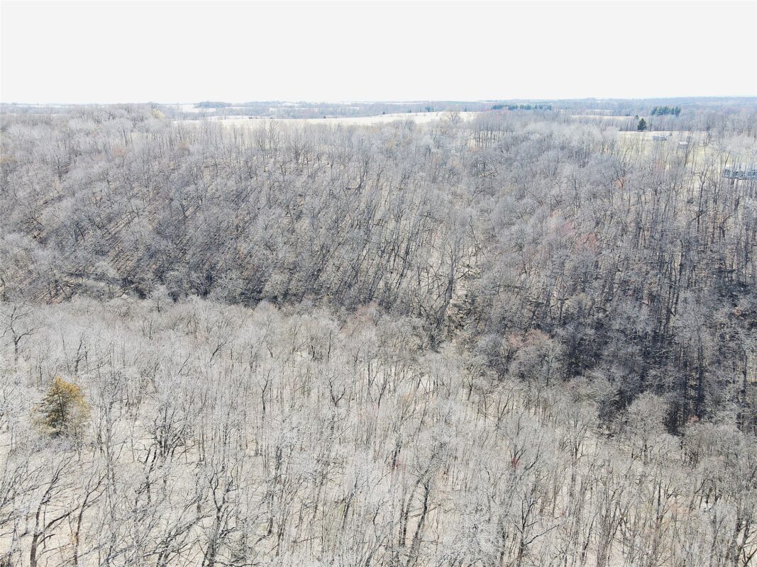 000 160th Avenue Maiden Rock WI 54750 — photo 6