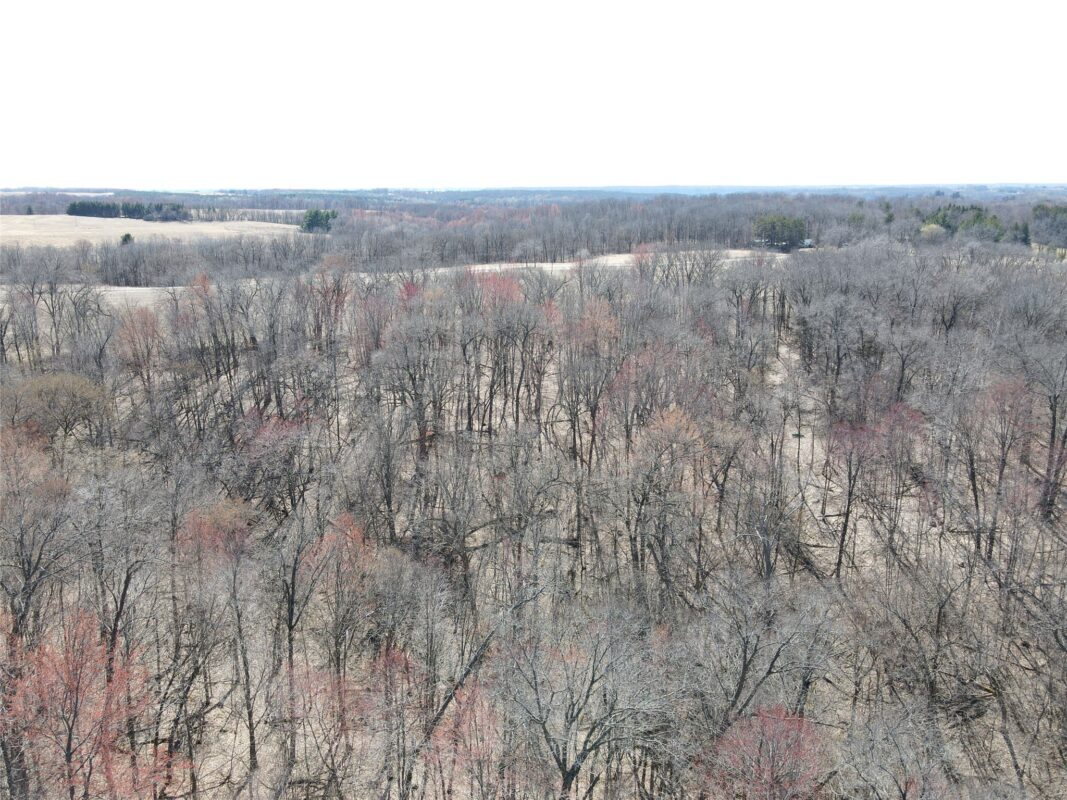 000 160th Avenue Maiden Rock WI 54750 — photo 8