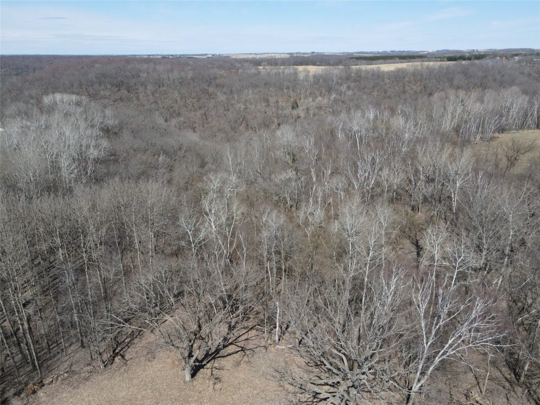 000 160th Avenue Maiden Rock WI 54750 — photo 8