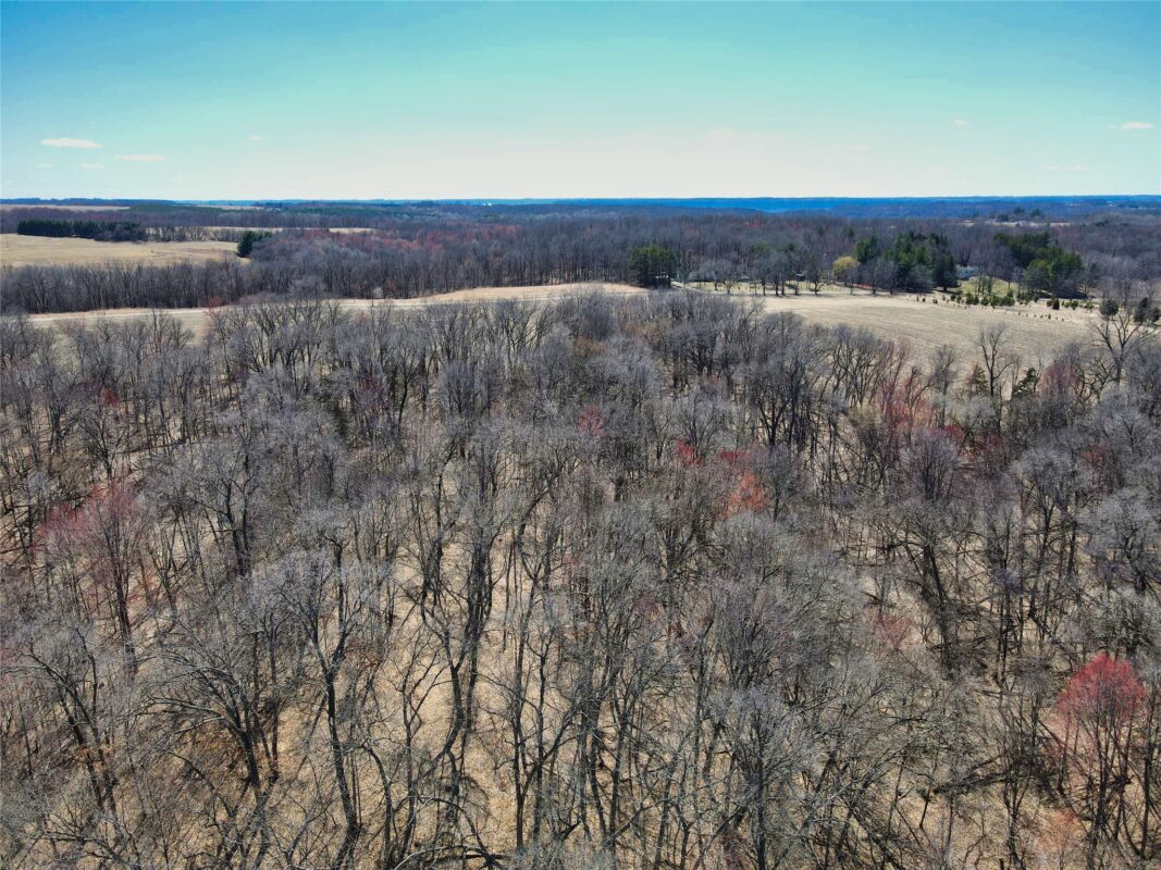 000 160th Avenue Maiden Rock WI 54750 — photo 9