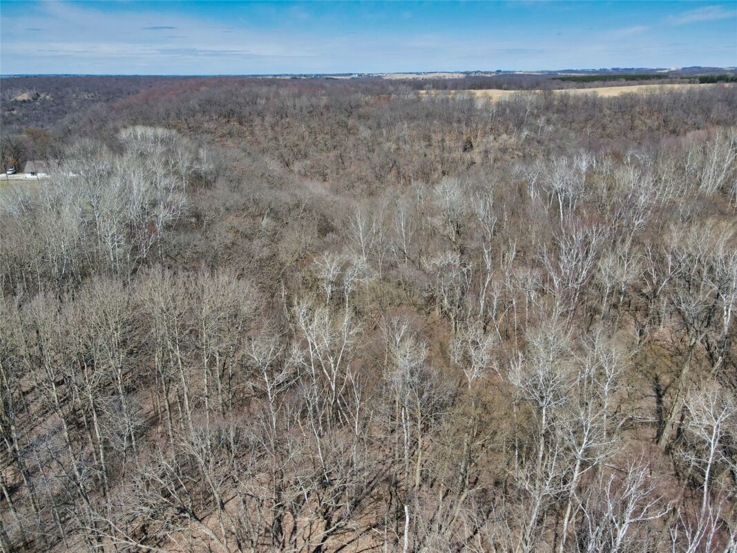 000 160th Avenue Maiden Rock WI 54750 — photo 9