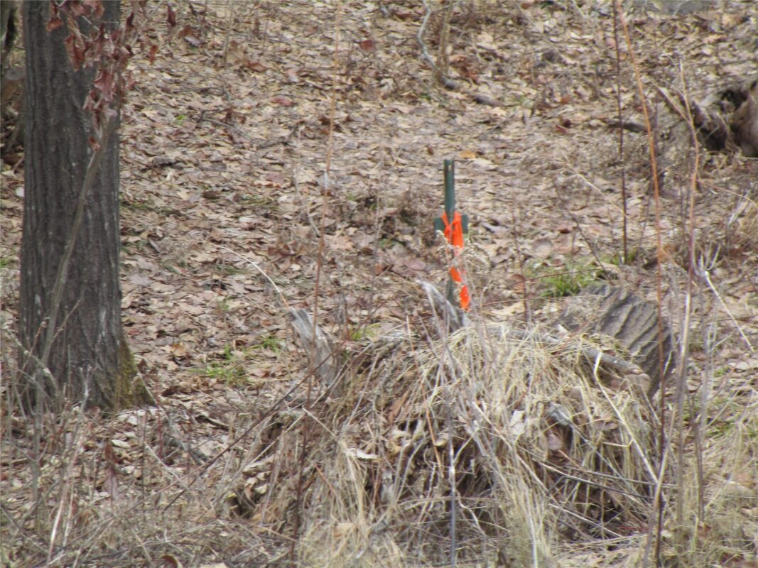 Residential at 000 Camp Road, Weyerhaeuser, WI 54895 — photo 2