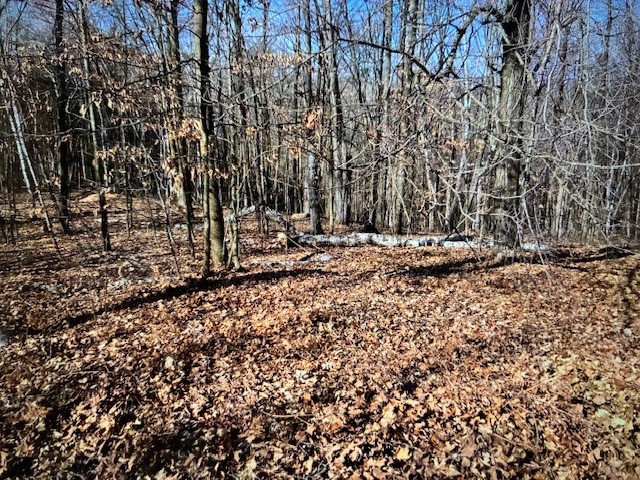 Residential at 000 Camp Road, Weyerhaeuser, WI 54895 — photo 3