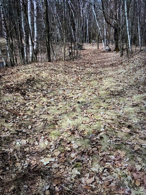 Residential at 000 Camp Road, Weyerhaeuser, WI 54895 — photo 4