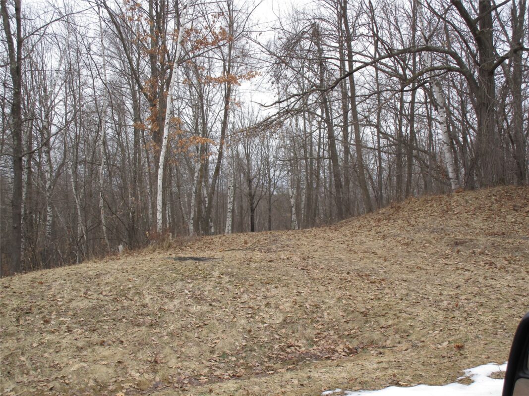 Residential at 000 Camp Road, Weyerhaeuser, WI 54895 — photo 6