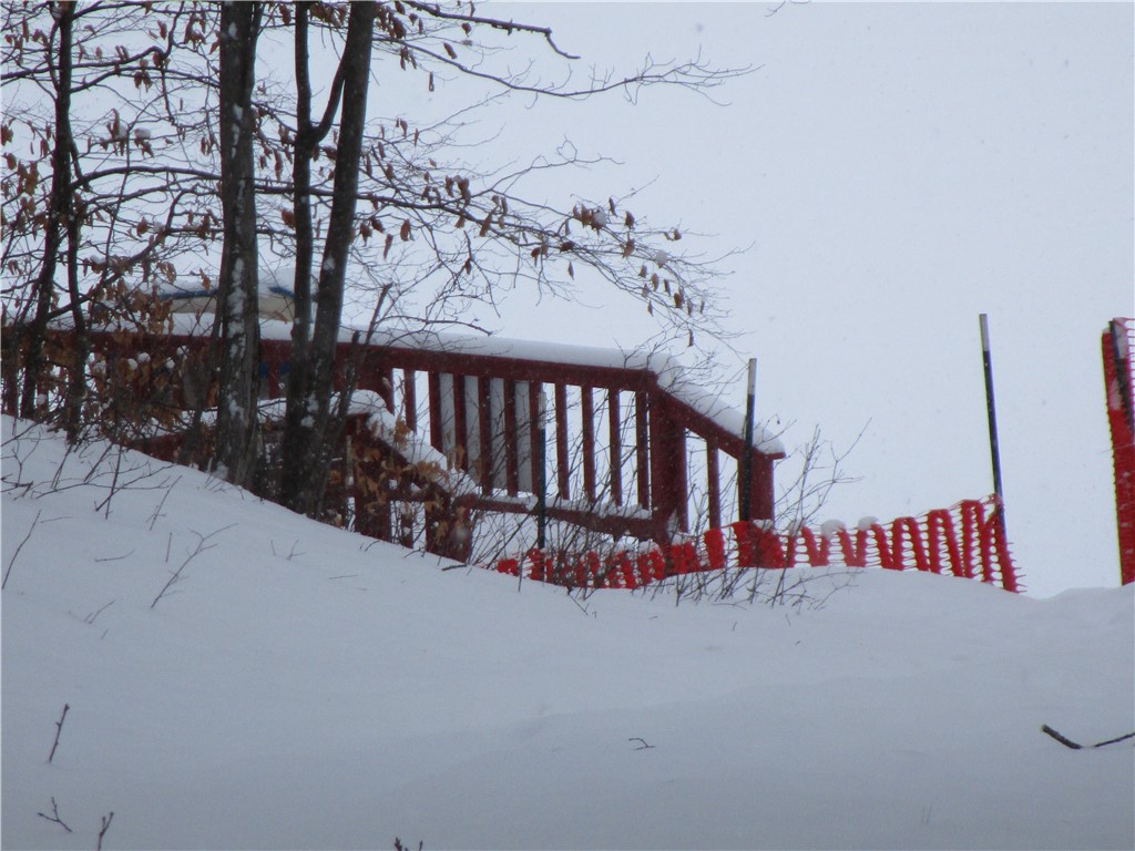 Residential at 000 Camp Road, Weyerhaeuser, WI 54895 — photo 8