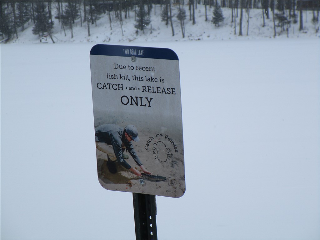 Residential at 000 Camp Road, Weyerhaeuser, WI 54895 — photo 10